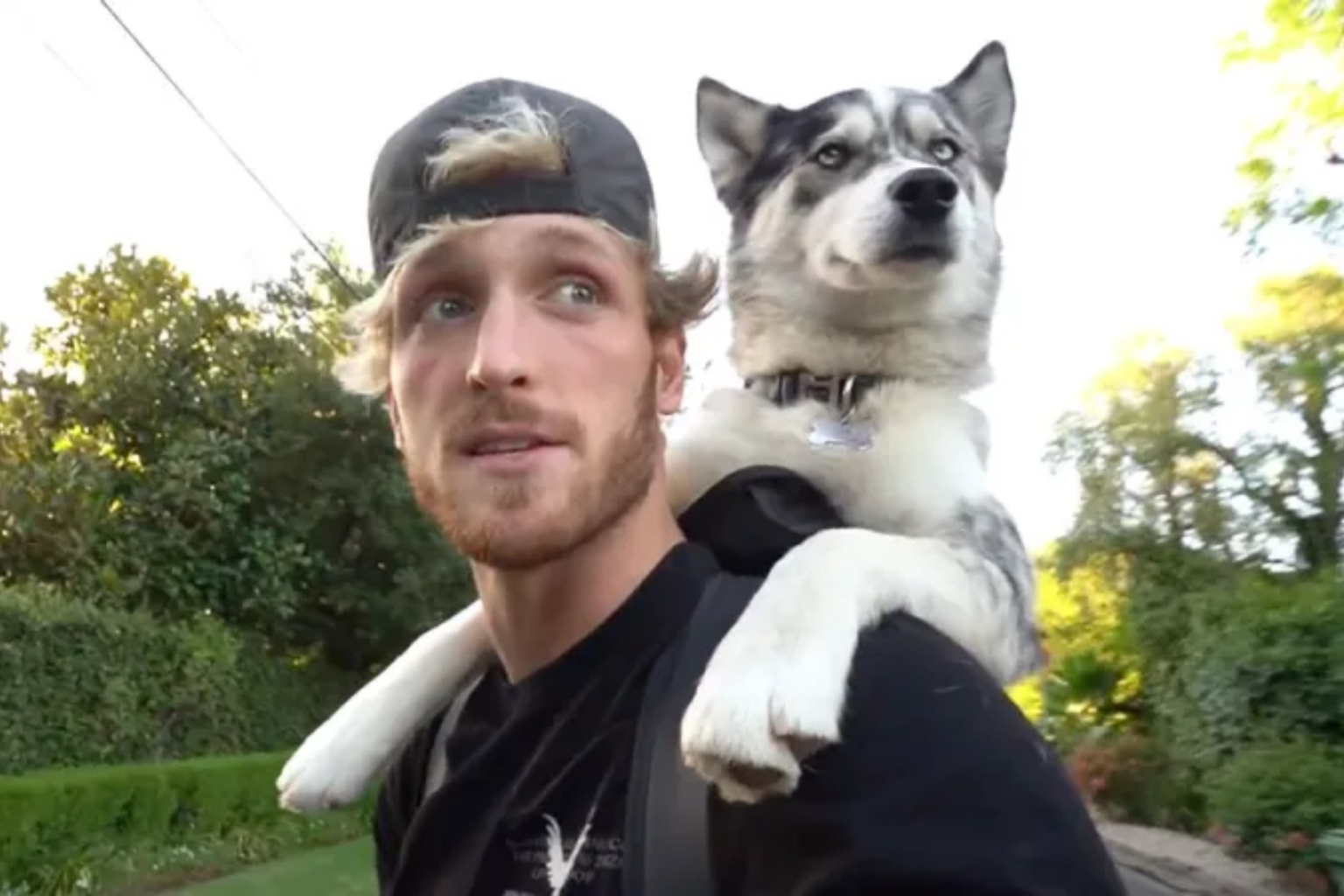 Logan Paul Denies Allegations of Pushing Dog Off Boat.