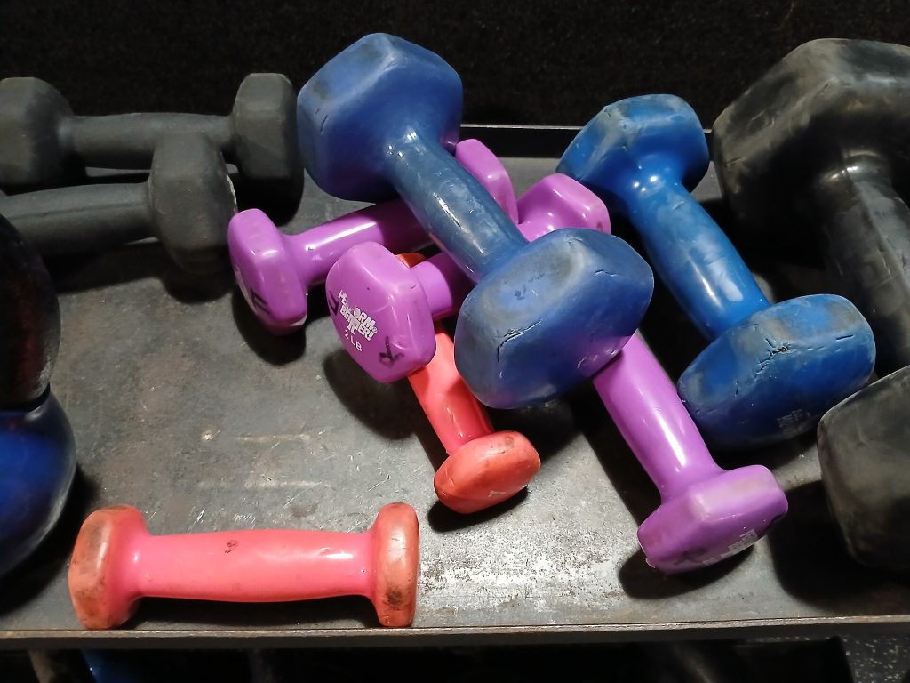 Gym weights and dumbbells on a floor representing muscle turns into fat myth