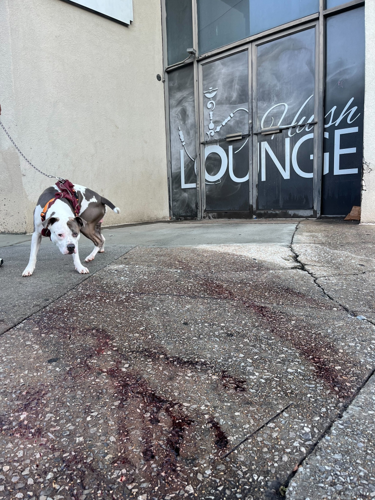 Birmingham Mass Shooting: 4 Dead, 21 Injured in Targeted Attack 3 The Hush hookah lounge, where the Birmingham mass shooting happened, on Sept. 21, 2024. (Image Credit: Vasha Hunt / Associated Press)