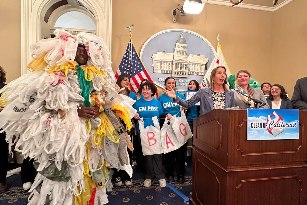 California Bans Plastic Bags Again: What You Need to Know 1 Catherine Blakespear, a California state senator, calling for a ban on all plastic bags in California, after the state’s first ban resulted in more plastic waste. (Image Credit: Adam Beam/Associated Press)