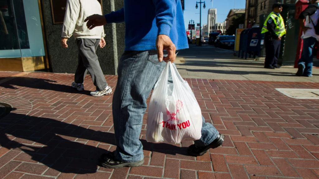 California Bans Plastic Bags Again: What You Need to Know 4