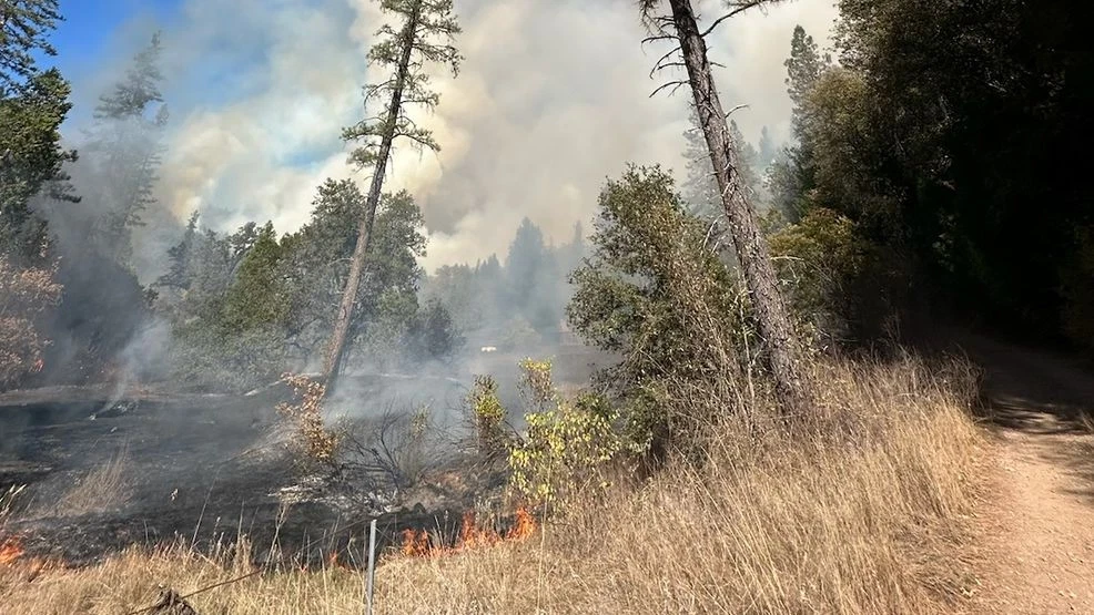 Red Flag Warning Issued for Northern California 2 A ground-view of the Shoe Fire, red flag warning weather burning off Fenders Ferry Road in the Madrone Campground area, east of Shasta Lake, in Shasta County, Calif., on Friday, Oct. 11, 2024. (Image Source: U.S. Forest Service - Shasta-Trinity National Forest)