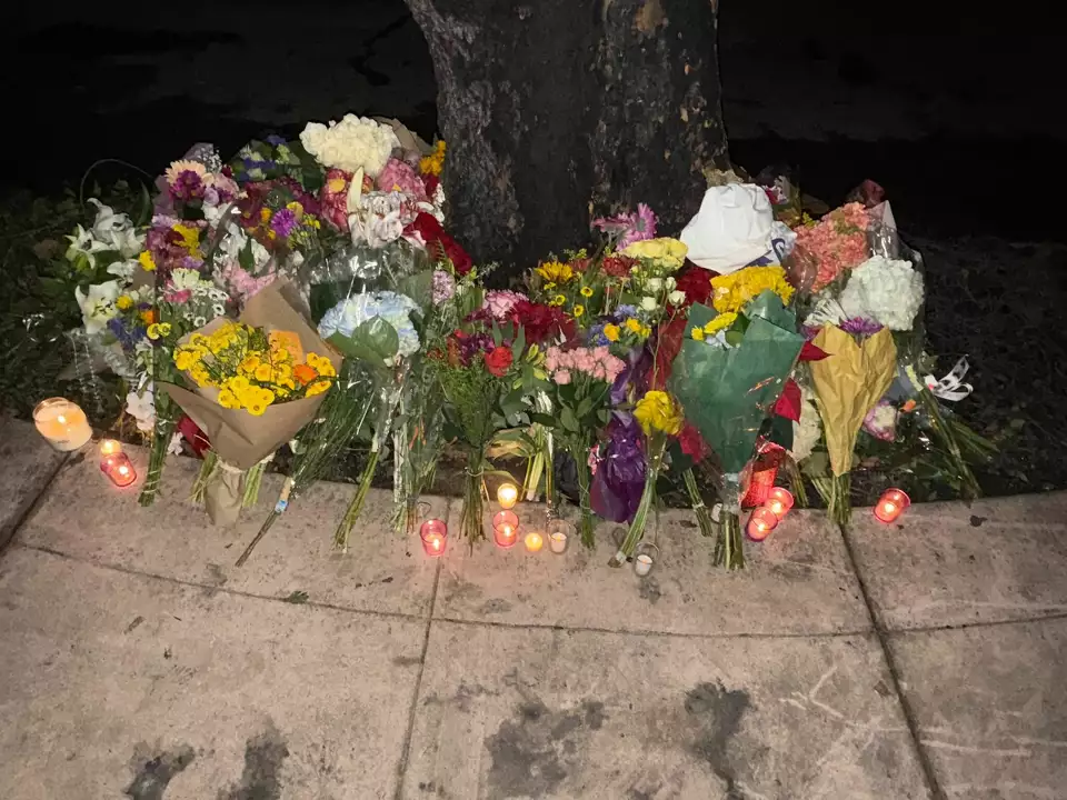 Piedmont Cybertruck Crash Claims Three Lives, Injures One 2 A memorial was set up in front of a tree near King Avenue and Hampton Road in Piedmont Wednesday evening, where the fiery Tesla Cybertruck crash happened early that morning. (Image Credit: Jordan Parker / AP)