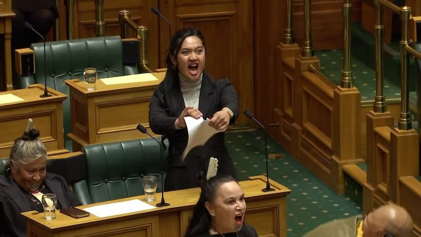 The New Zealand Māori tribe performed the Haka was in protest of the Treaty Principles Bill. (Image Credit: The Guardian)