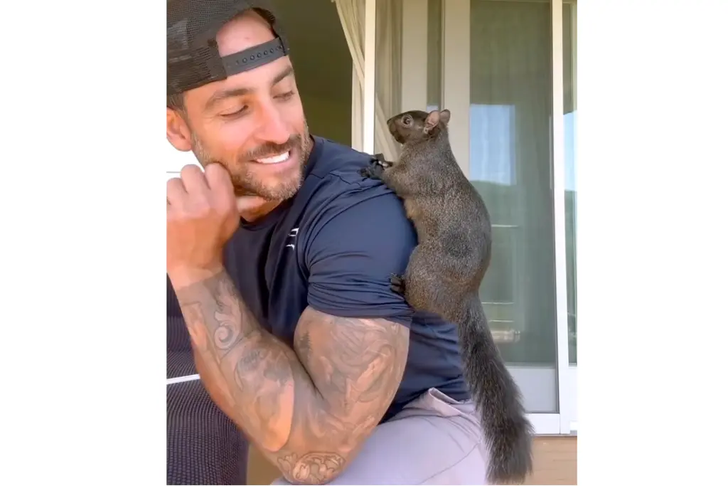 Peanut the squirrel seized by NYC authority after Longo house was raided. (Image Credit: Instagram @peanut_the_squirrel12)