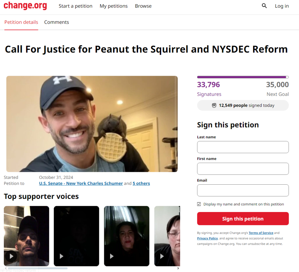 https://www.change.org/p/call-for-justice-for-peanut-the-squirrel-and-nysdec-reform?fbclid=PAZXh0bgNhZW0CMTEAAabZ-bHdKZDbWy4Rm8mDAh5HVSq31YIOli-RjmZMV5ug48ojipDM4daeFkQ_aem_13-0wNARmPHcXPyRfGIykg