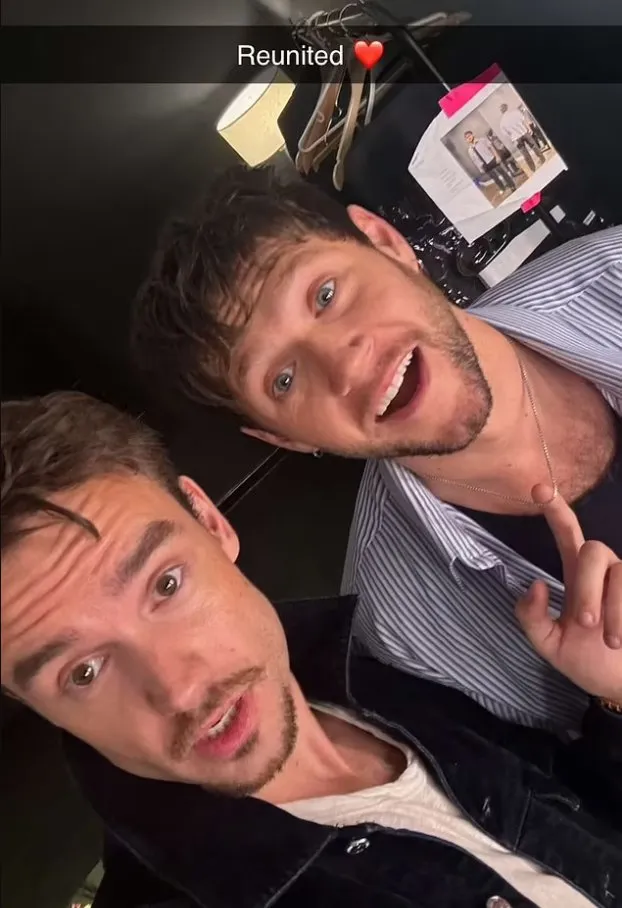 Liam Payne Funeral: One Direction Reunites to Mourn 4 Liam Payne and Niall Horan reunited just two weeks before his death (Image Credit: Liam Payne's Snapchat)