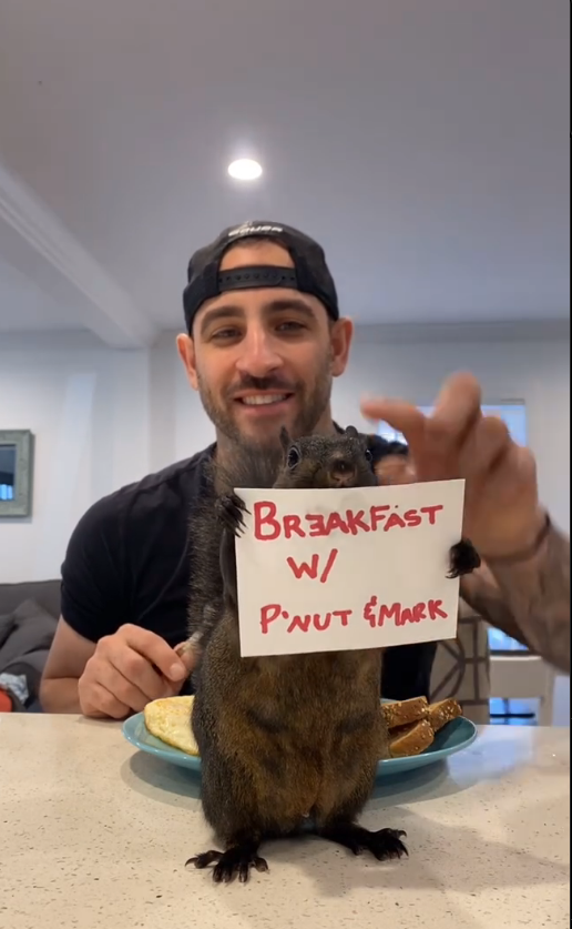 Peanut The Squirrel Euthanized: What Happened? - Recap 1