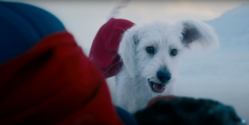 Krypto the Superdog in Superman trailer teaser. (Image Credit: DC)