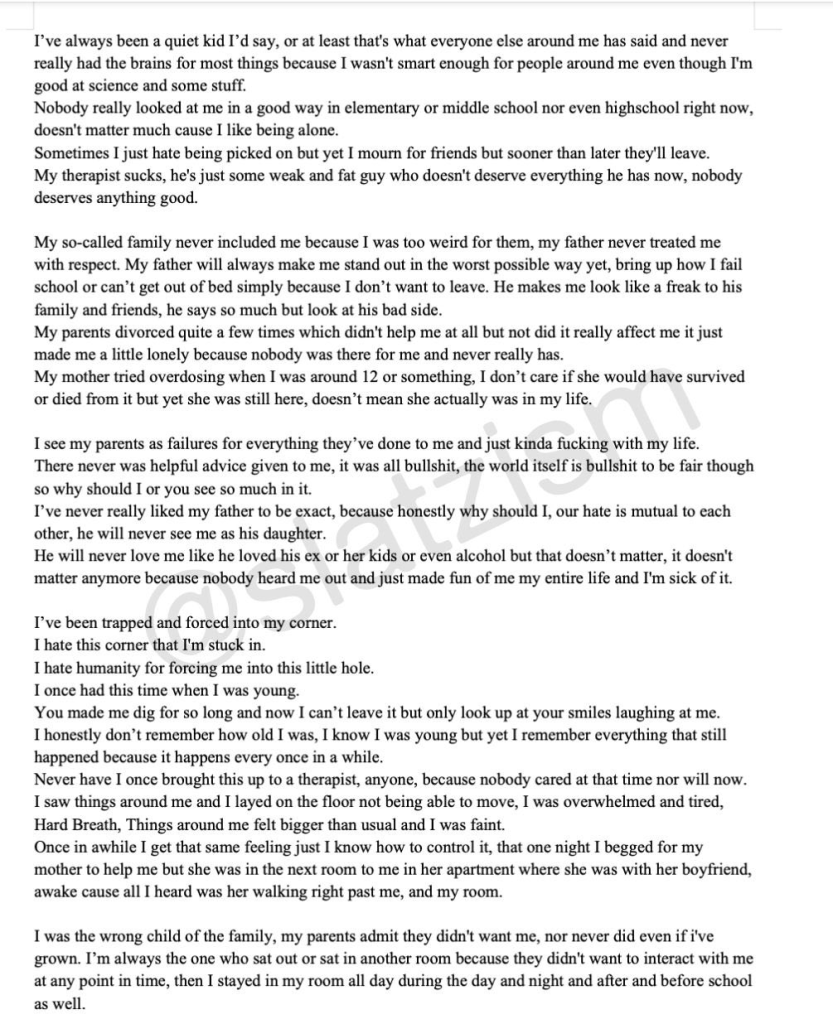 Wisconsin School Shooting: Shool Shooter Identified as Trans 8 The possibly full manifesto of the trans school shooter that was allegedly leaked by their friend. (Image Source: Twitter / X @Slatzism)