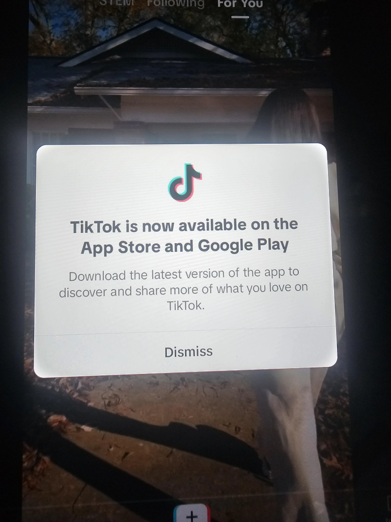 TikTok Returns To App Store: Sale Talks Heat Up 1