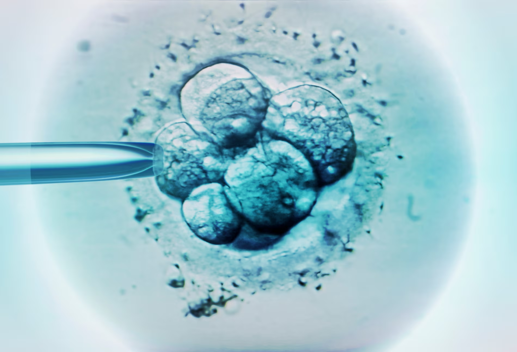 President Trump on IVF new executive orders, promises to keep procedure prices down. (Credit: Getty Images)
