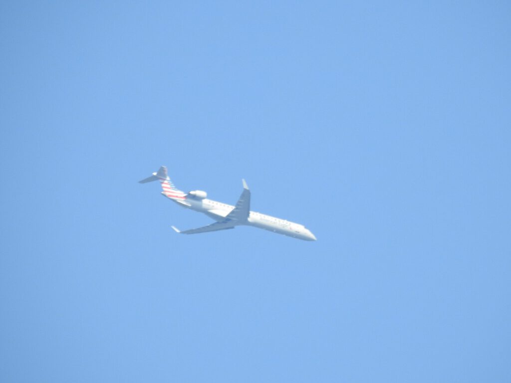 American Airlines Airplane
