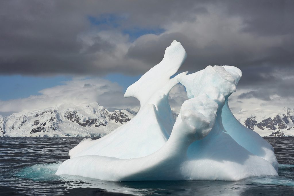 Planning an Antarctica Expedition Cruise: Key Details for 2026-2029 Icebergs and penguins in Antarctica during an expedition cruise