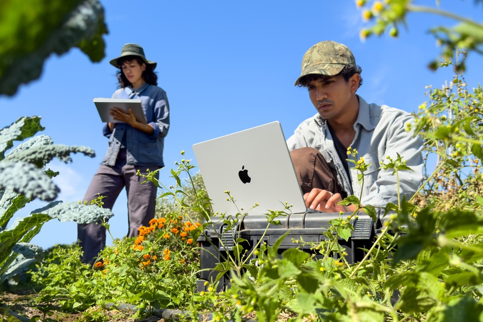 Two people perform fieldwork using MacBook Pro outdoors on a sunny day.