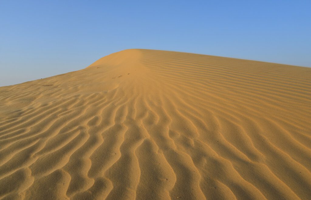 Dunes, Désert du Thar
