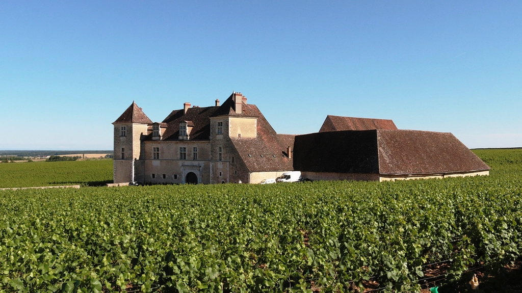 Cyclists riding through a vineyard in Burgundy during DuVine Cycling tour