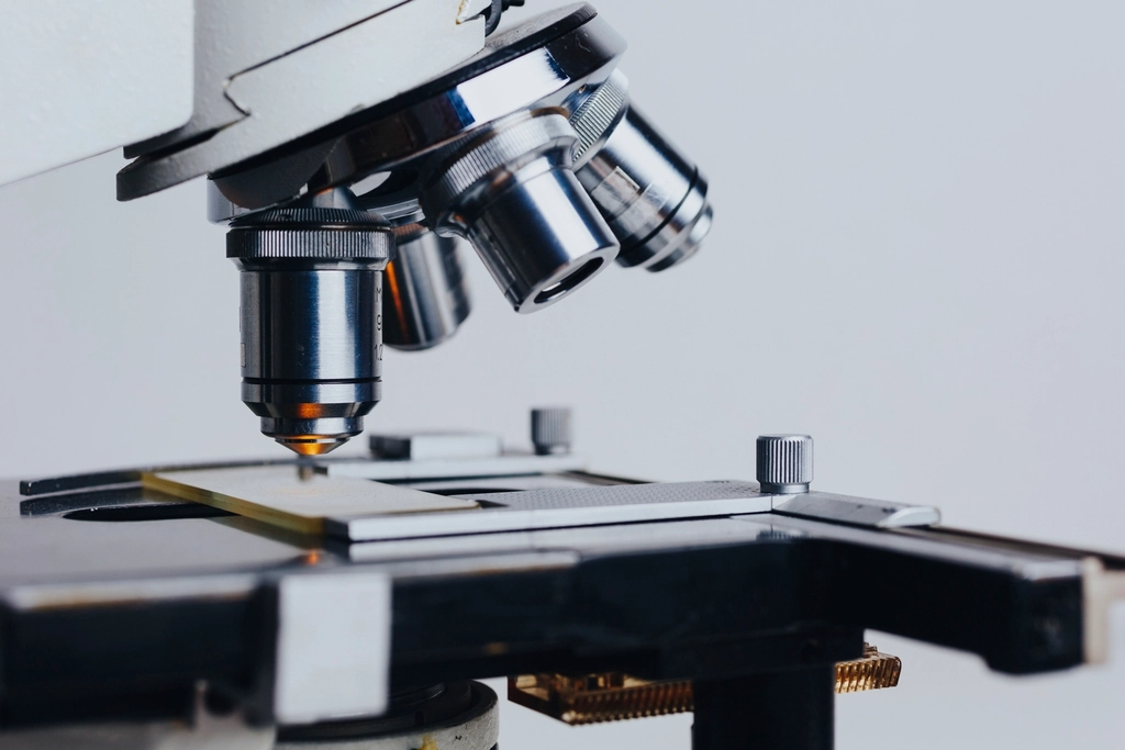 First Human Case of Shamonda Virus Confirmed in France 1 Free microscope public domain CC0