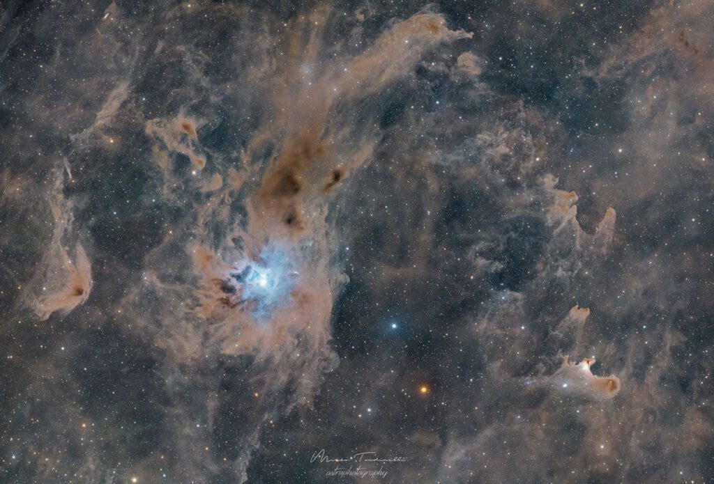 Ghost Nebula and Iris Nebula Dominate Cepheus Flare Image 1 Interstellar dust clouds and dark nebulae in the Cepheus molecular cloud.
