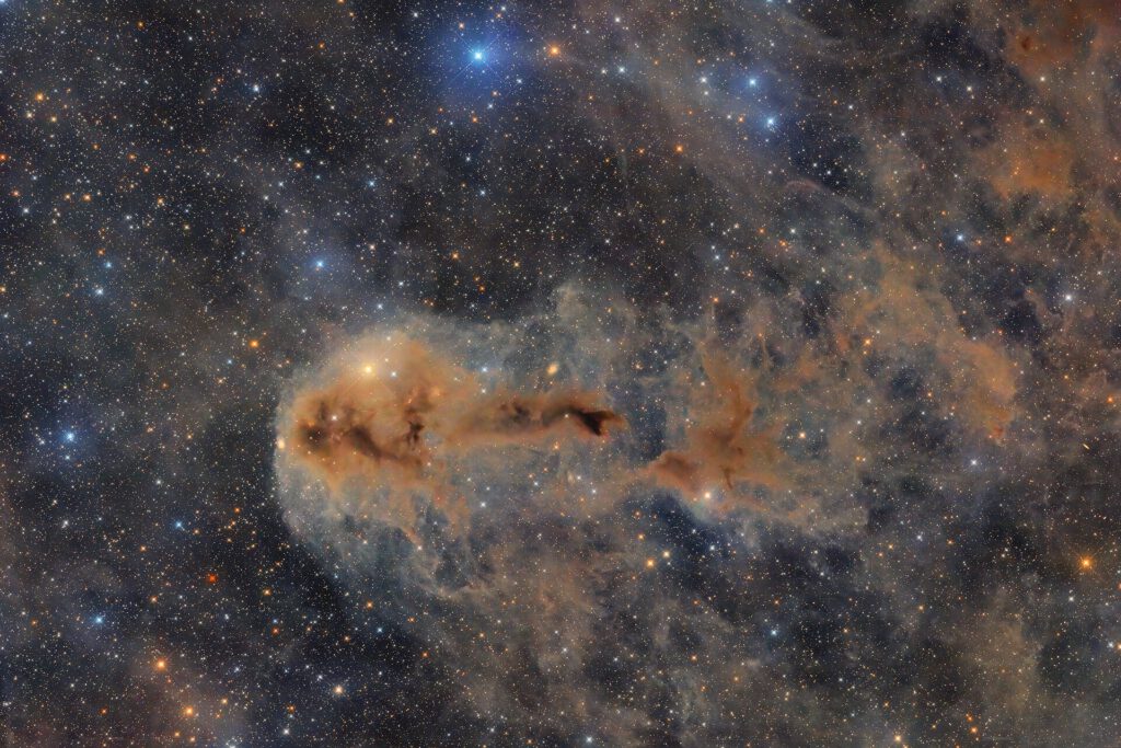 Ghost Nebula and Iris Nebula Dominate Cepheus Flare Image 3 LDN 1251 Flickr castro.pic