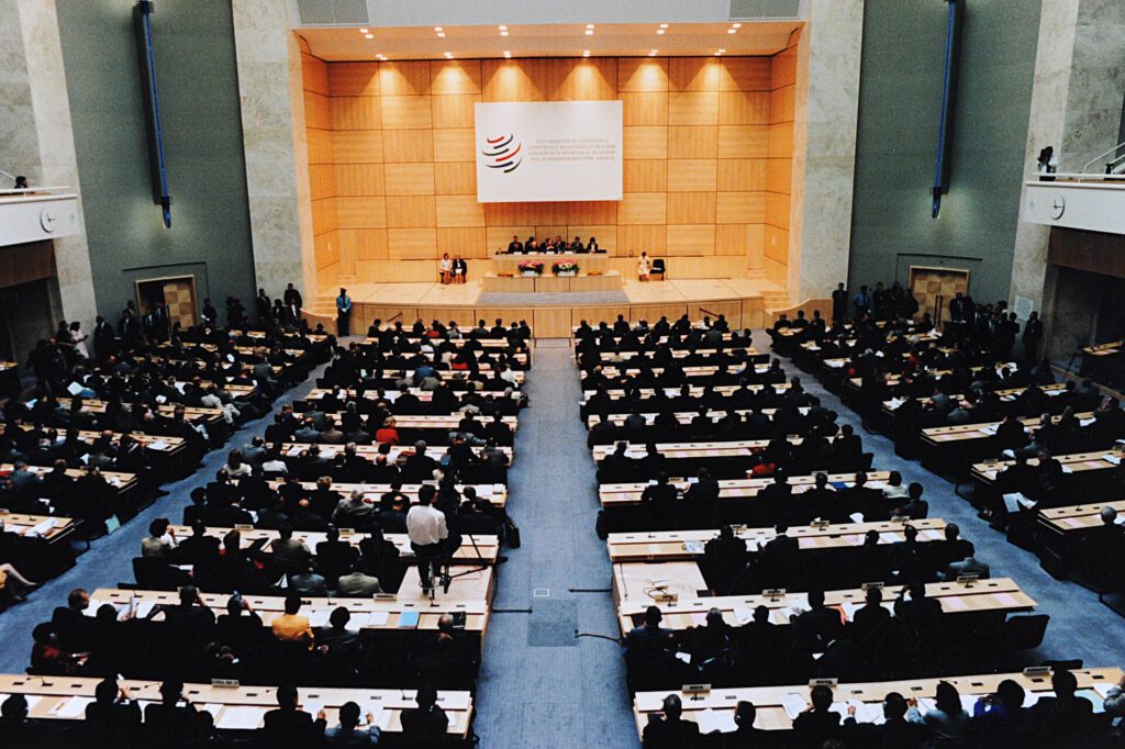 Why Global Cooperation Is the Only Way to Manage AI Risks 2 Geneva Ministerial Conference 18 20 May 1998