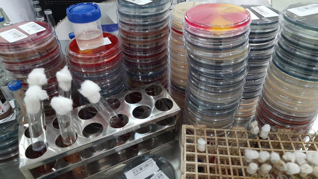 Microbiological Waste
