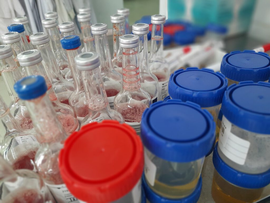 Microscopic view of gut bacteria cells showing diverse microbial shapes