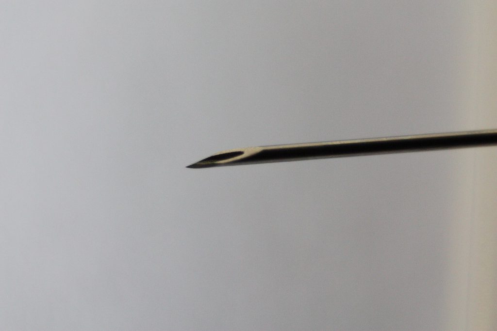 Beveled tip of a hypodermic needle 20090714 006