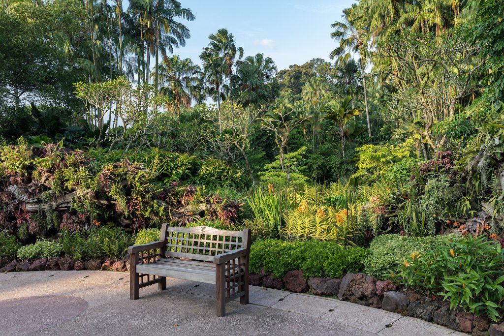 The Man Who Rates Benches: From Instagram Hobby to Wedding Venue 2 Outdoor wooden bench in Singapore Botanic Gardens at golden hour