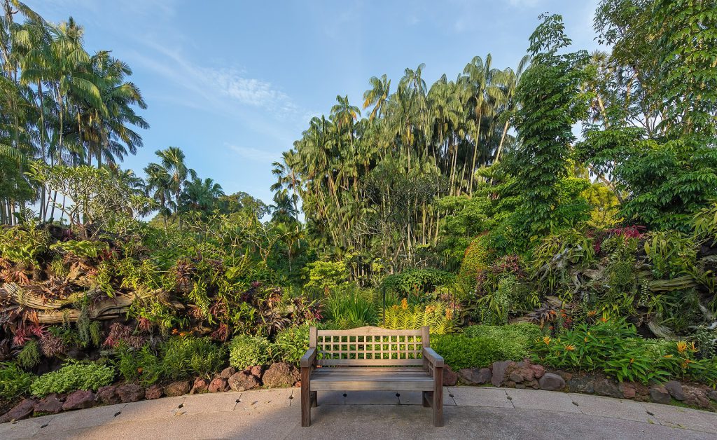 The Man Who Rates Benches: From Instagram Hobby to Wedding Venue 3 Front view of a wooden outdoor bench in Singapore Botanic Gardens with plants in sunshine and blue sky