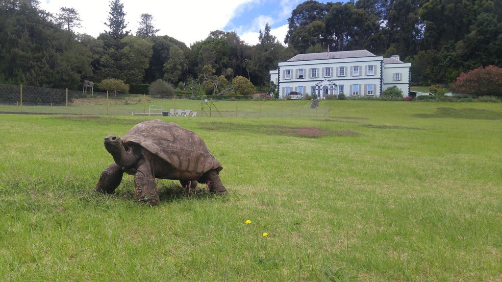 Giant Tortoise DNA Reveals Longevity Secrets Giant tortoise DNA research study on Jonathan the tortoise