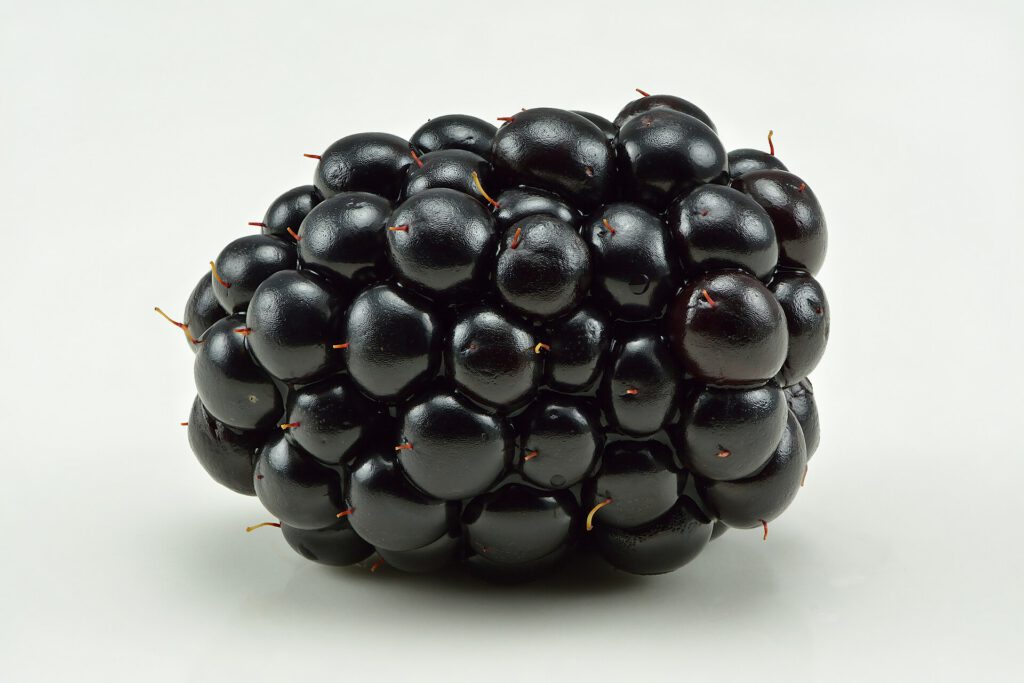 How to Use Leftover Custard in a Zero-Waste Apple and Blackberry Fool 1 Blackberry (Rubus fruticosus)