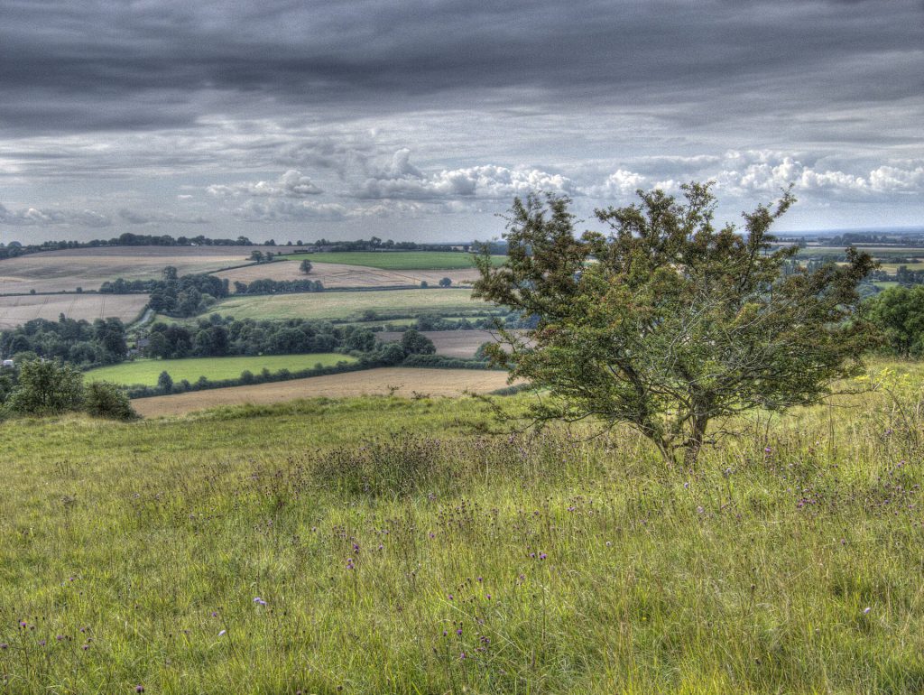 Weekend Guide to Lincolnshire Wolds and Horncastle Rolling hills of the Lincolnshire Wolds with gold and copper wooded hills