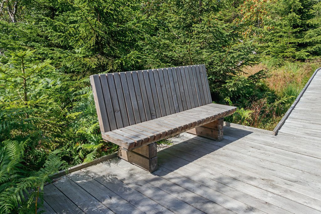 Lothar Path   Black Forest National Park   bench 01