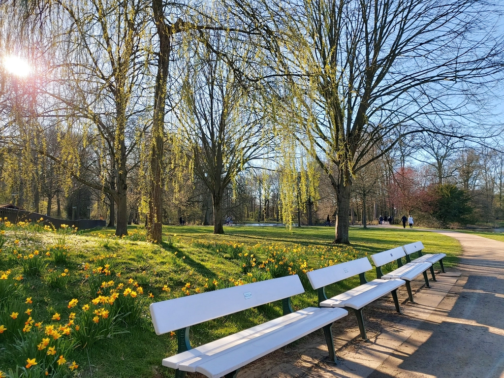 Free empty park bench image