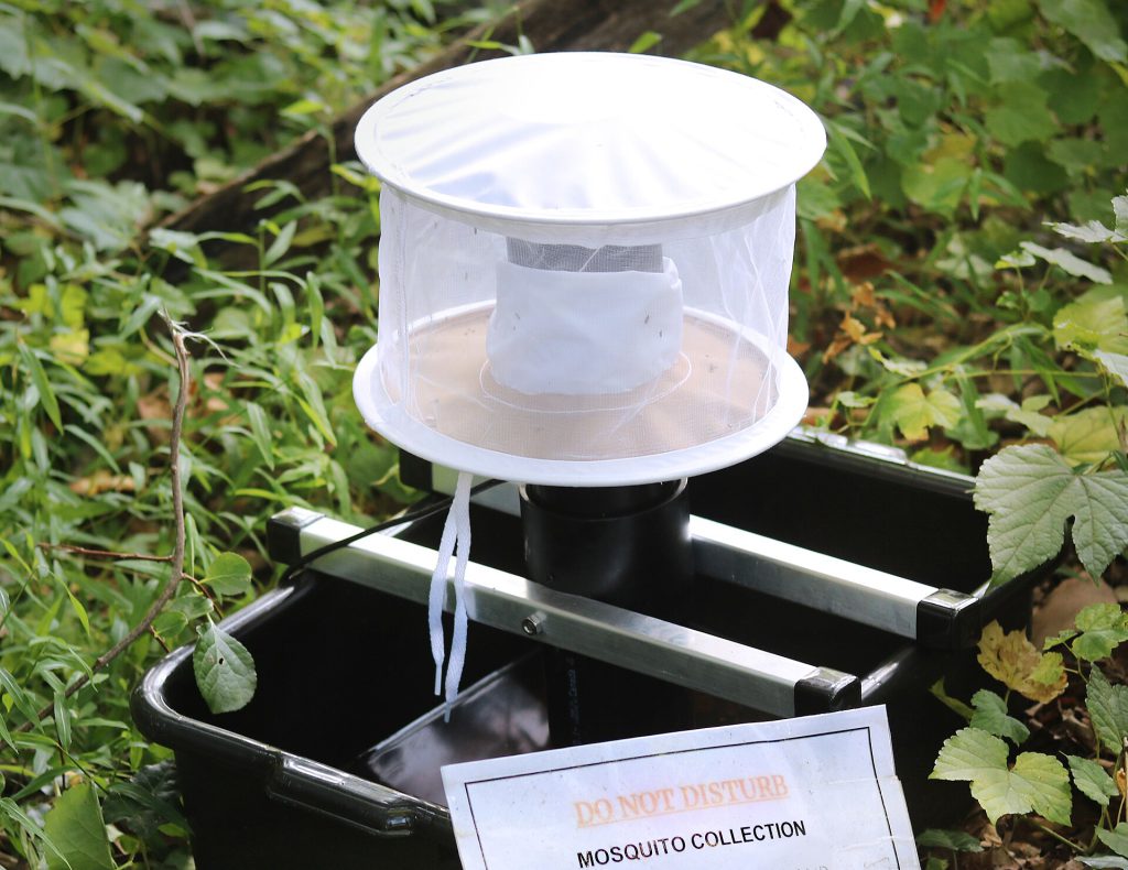CDC Gravid Trap for Mosquito Surveillance and Pathogen Testing