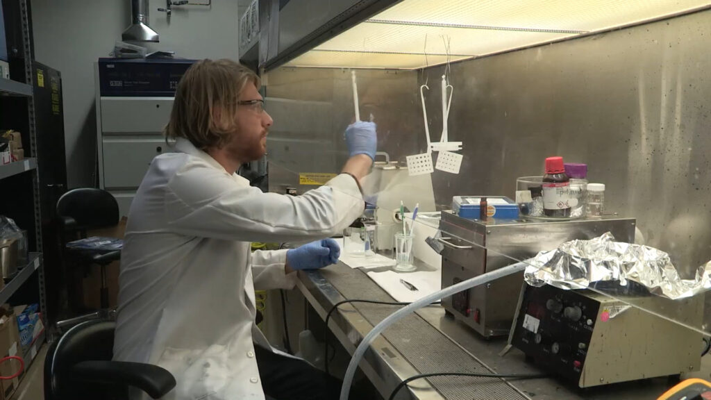 A scientist in a lab