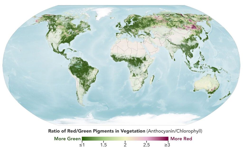 NASA Satellite Maps Global Fall Foliage Shifts Satellite view of fall foliage in New England showing red and yellow leaves