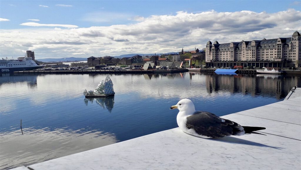 Norway Tourism Site Sees Surge After Trump Insult Public restroom in Norway with scenic view