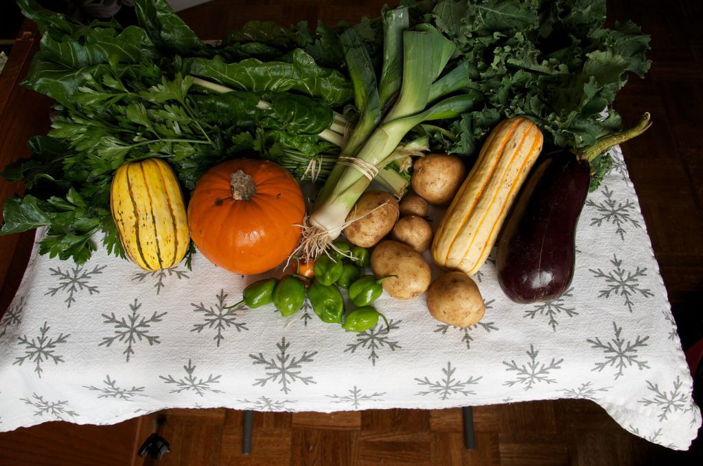 Stoneledge farms CSA (Community Supported Agriculture) Local Farming Week Seventeen CLS