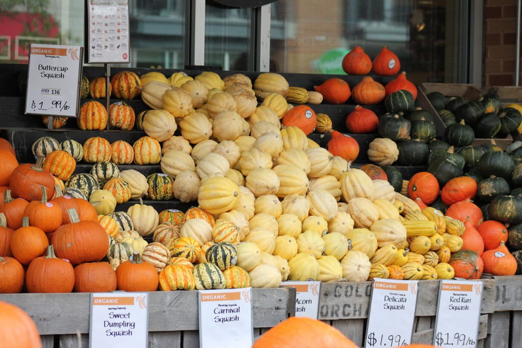 Cucurbita squash 24.Autumn.WholeFoods.1440P.NW.WDC.14October