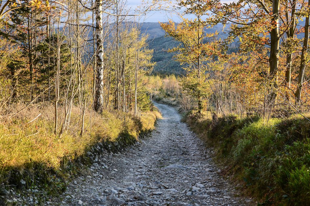 Sustainable Travel Is Mainstream, Not Niche, Skift Data Shows 1 Hiking trail to Biskupská kupa, Czechia