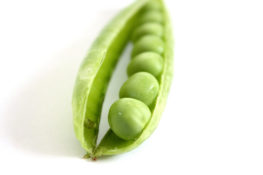 UK Pea Consumption Hits 50-Year Low as Chefs Push New Recipes 1 Free image green peas pod
