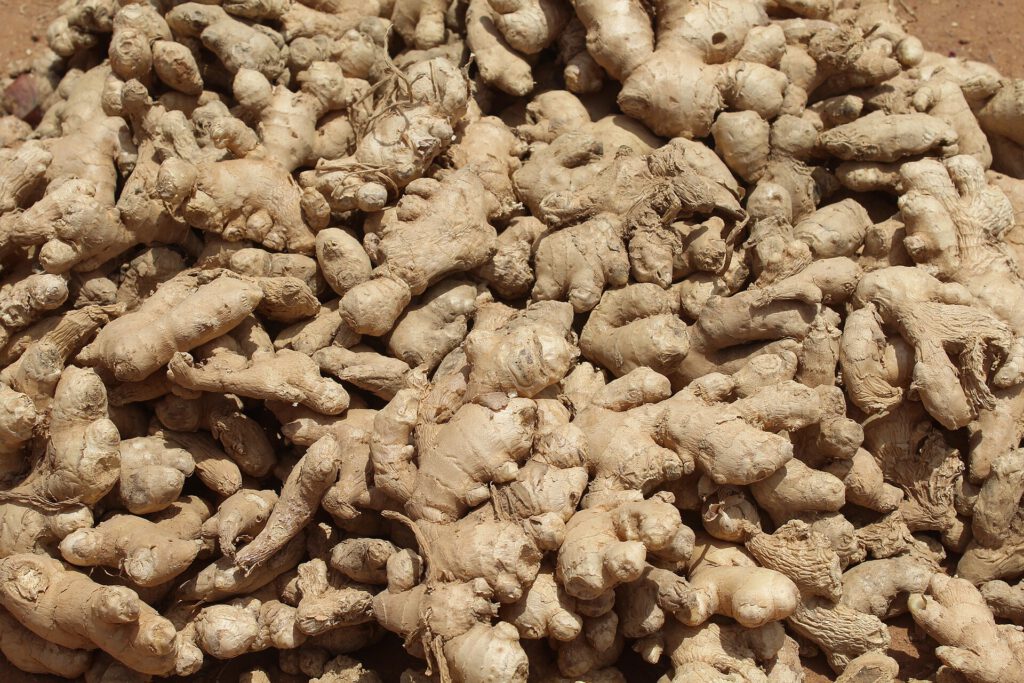 Fresh ginger root measured by thumb size